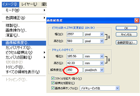 解像度は350dpiを目安にしてください。